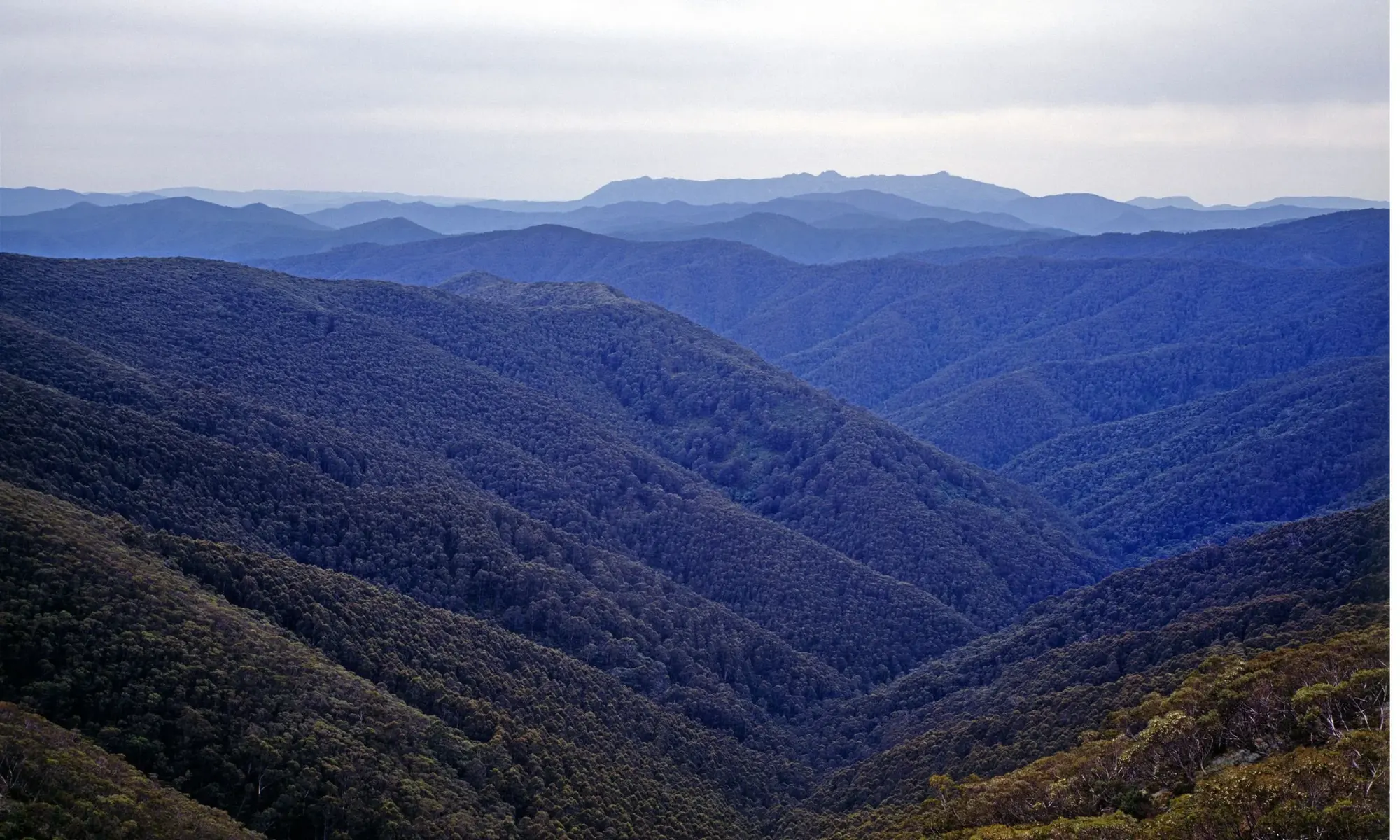 Blue forested hills rolling to the horizon