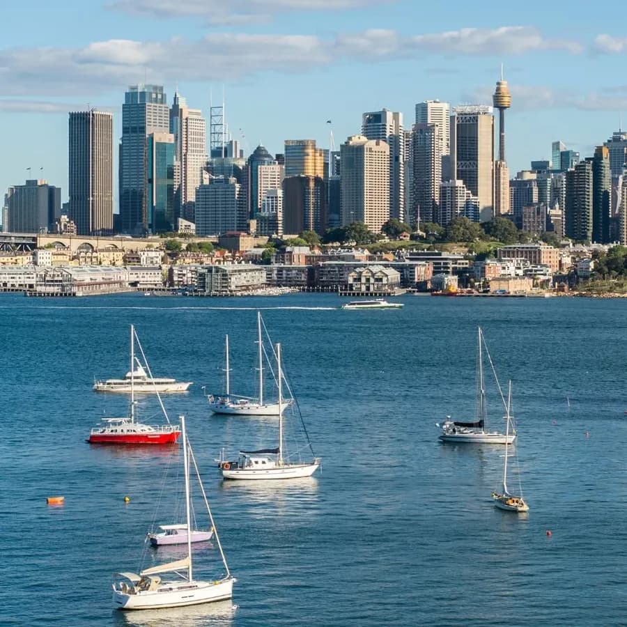 Capelin Law, wordpress refresh by MISO Studio for a business in Sydney, NSW